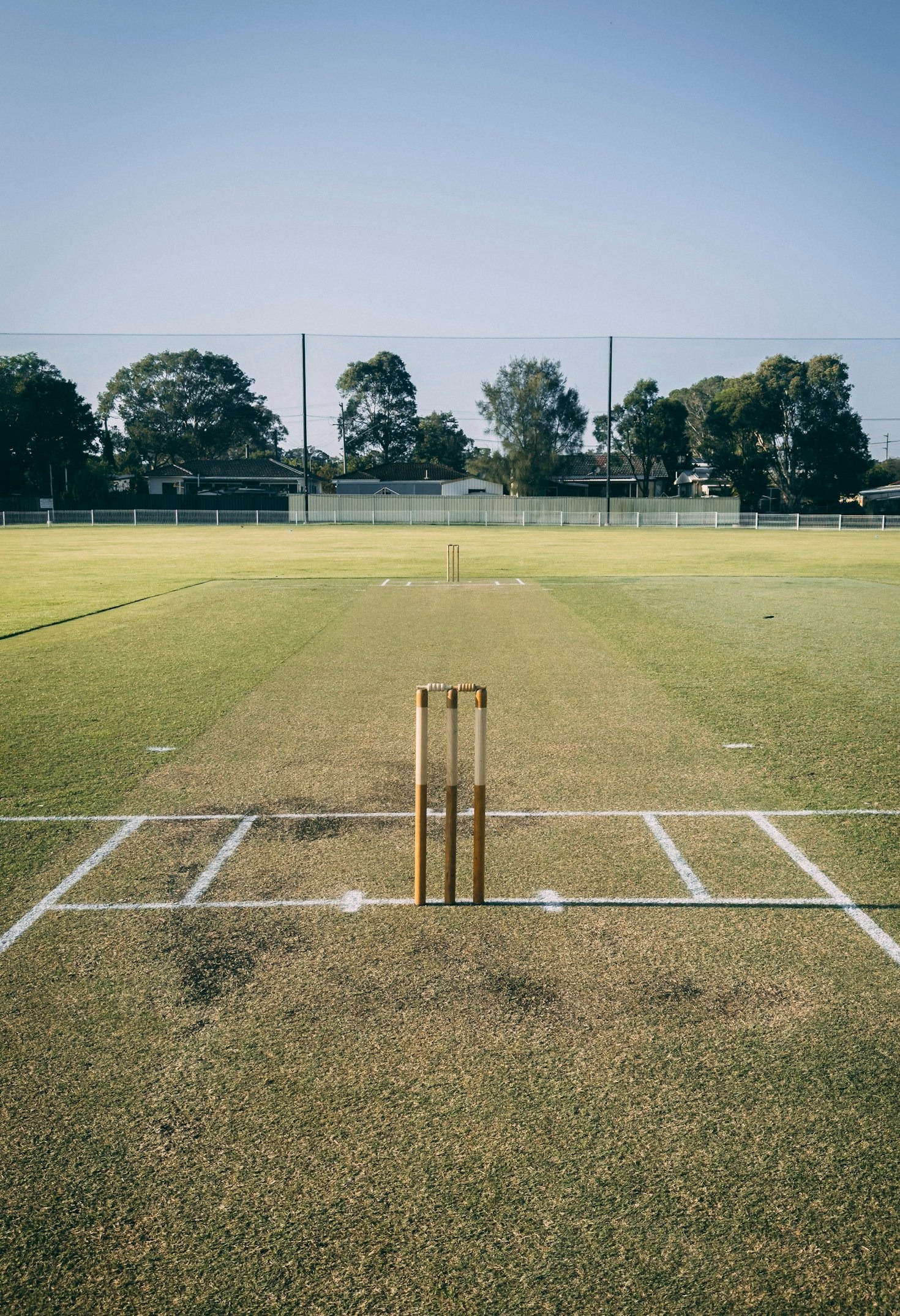 Getting Started: The Basics of Cricket Betting