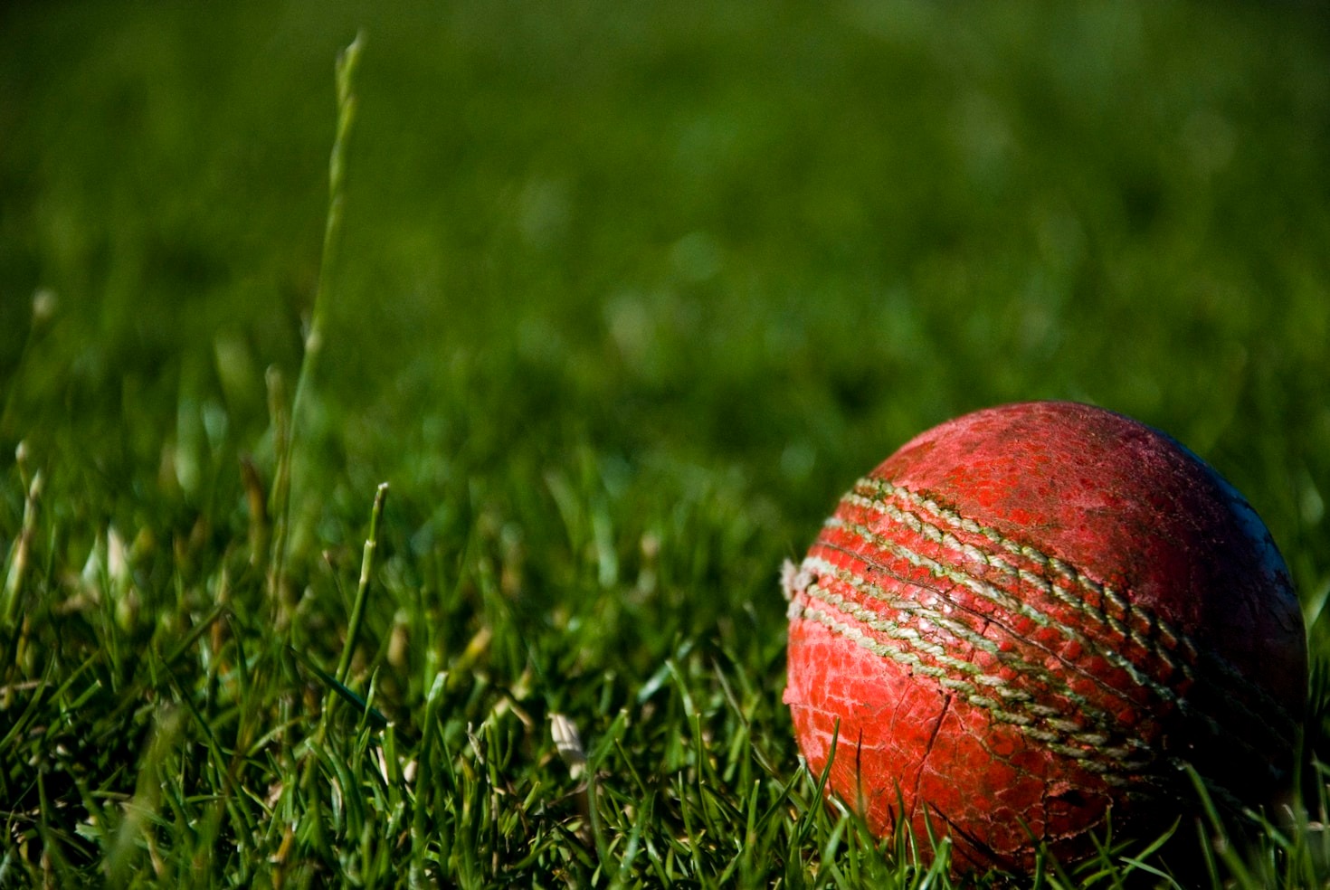 The Rise of Online Betting Platforms for Cricket Fans